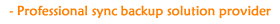 Professional sync backup solution provider